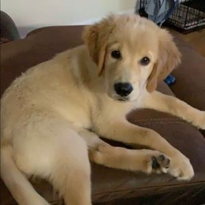 Meet your Posher, Jordan